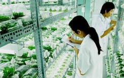 Thủ tục nhiêu khê sẽ khiến nhân tài tự ái, nản lòng