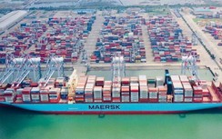 Nghiên cứu kết nối bến chung giữa hai cảng biển lớn tại Bà Rịa - Vũng Tàu