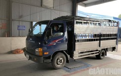 Phân cấp mạnh mẽ việc quản lý hoạt động đăng kiểm cho địa phương