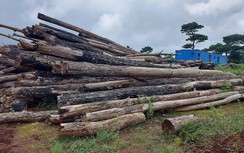 Sân golf Đak Đoa FLC 2.000 tỷ hoang tàn và những hệ lụy