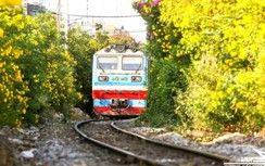 Đường sắt kỳ vọng hình thành đường hoa dài nhất Việt Nam