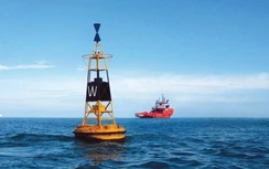 Sửa Nghị định về quản lý hoạt động hàng hải, phân cấp mạnh mẽ hơn