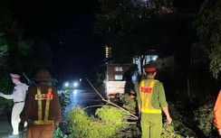 Dông sét kèm lốc xoáy, mưa đá gây nhiều thiệt hại ở Quảng Trị