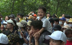 Chưa đến ngày giỗ Tổ, đền Hùng đã đón gần 5.000 phương tiện