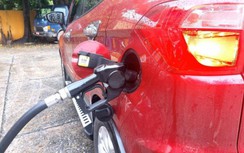 Giá xăng dầu hôm nay 24/4: Đồng loạt giảm