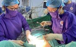 Phẫu thuật kép thành công cho sản phụ hiếm muộn bị viêm ruột thừa
