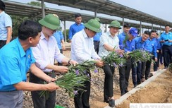 Lan tỏa mô hình "Đường tàu - Đường hoa" ở Hà Tĩnh