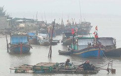 Thái Bình: Cứu tàu bị tuột dây neo bất thành, người đàn ông tử vong