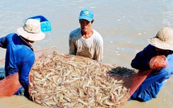 Thế giới sắp đạt 8 tỷ người - cơ hội lớn cho ngành nông nghiệp Việt Nam