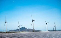 EVN nêu nguyên tắc áp giá tạm thời cho dự án điện gió, mặt trời chuyển tiếp