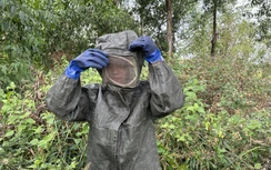 Người phụ nữ trẻ mưu sinh bằng nghề... săn ong vò vẽ