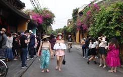 Tự trách vì du lịch yếu kém