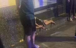 Bác bỏ tin đồn người đàn ông tử vong sau vụ ẩu đả trên phố Tràng Tiền