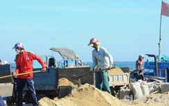 Giá cát tăng chóng mặt, người dân và nhà thầu ở đảo Lý Sơn điêu đứng