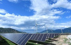 Chưa dự án điện gió, mặt trời nào chốt giá, EVN lắc đầu với điện rác