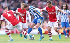 Nhận định, dự đoán kết quả Arsenal vs Brighton, vòng 36 Ngoại hạng Anh