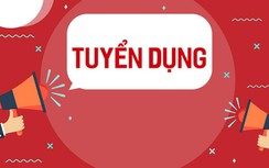 Cơ quan Tổng công ty Truyền tải điện Quốc gia tuyển dụng lao động