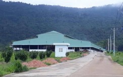 Phú Quốc đau đầu vì chưa có nhà máy xử lý rác, chất thải