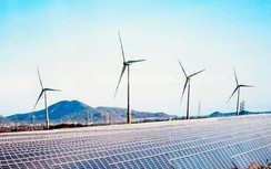 Quy hoạch điện VIII phê duyệt có giải cứu được các dự án điện tái tạo?