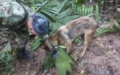 Tổng thống Colombia rút tuyên bố 4 trẻ sống sót sau 2 tuần tai nạn máy bay