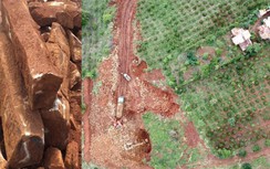 Kỳ lạ công trường khai thác đá trái phép ở Đắk Nông không ai xử lý