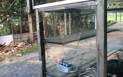 Khởi tố vụ án hàng chục thanh niên cầm hung khí tấn công chủ quán nhậu