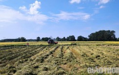 Hà Tĩnh: Chủ máy, nông dân khốn khổ vì... nạn bảo kê máy gặt