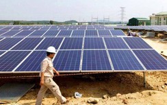 Bộ Công thương chốt đàm phán giá tạm cho điện gió, mặt trời trước 27/5