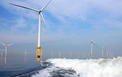 Sớm tháo gỡ rào cản cho điện gió ngoài khơi