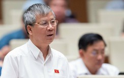 ĐBQH: Việt Á là cú lừa ngoạn mục sắc như dao cắt trong phòng chống dịch