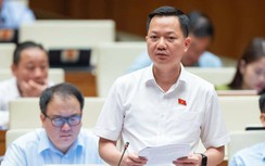 Đường nối Khánh Hòa - Ninh Thuận - Lâm Đồng: Làm rõ về trồng rừng thay thế