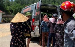 3 người vào rừng lấy mật, một người bị ong đốt tử vong