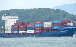 Đội tàu biển Việt Nam tiếp tục nằm trong Danh sách trắng