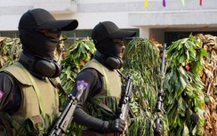 Đã bắt giữ 16 nghi phạm vụ tấn công trụ sở UBND xã ở Đắk Lắk