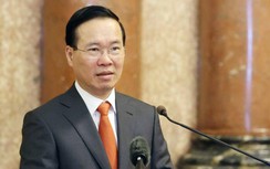 Chủ tịch nước: Không khoan nhượng với tội phạm và tệ nạn ma túy