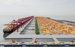 Bổ sung siêu cảng Cần Giờ vào quy hoạch tổng thể phát triển cảng biển