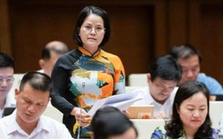 Đại biểu ủng hộ Tổng Liên đoàn Lao động đầu tư nhà ở xã hội cho công nhân