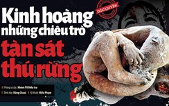 Báo chí điều tra và hành trình kiến tạo