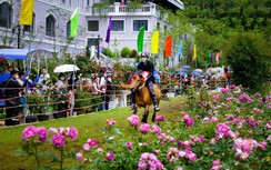 Vó ngựa trên mây - Điểm hẹn thú vị trong hành trình khám phá mùa hè Sa Pa