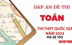 Gợi ý đáp án môn Toán mã đề 103 tốt nghiệp THPT Quốc Gia 2023