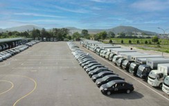 Bắt Giám đốc Trung tâm Đào tạo và sát hạch lái xe ở Hải Phòng