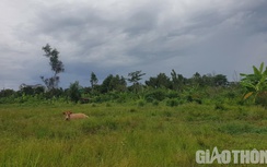 Đường 3.837 tỷ vướng khu đô thị quy hoạch trước: Lãnh đạo Cần Thơ lên tiếng