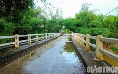 Quảng Ngãi chi 25 tỷ đồng xây mới hai cây cầu thường xuyên bị ngập