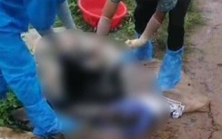 Phát hiện thi thể nam giới đang phân hủy ở ven rừng phòng hộ Bạc Liêu