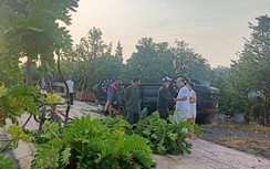 TP.HCM: Xế hộp quật đổ cây xanh rồi chổng vó trên đại lộ nghìn tỷ