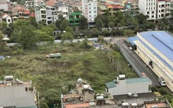 Vì sao dự án trên đất vàng ở TP Hạ Long nhiều năm vẫn là bãi cỏ hoang?