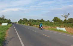 Ngủ giữa đồng làm đường huyết mạch xứ Tây Đô