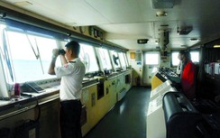 Hoa tiêu kêu trời vì dẫn tàu nội giá bèo