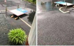 Vụ kéo lê thi thể nữ công nhân gần 10km: Tạm giữ 3 ô tô, triệu tập 3 lái xe