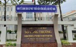 Nguyên giám đốc Sở Công thương Cà Mau tiếp tục bị đề nghị kỷ luật